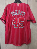 Jersey Toros de Chicago Bulls Roja rayada Jordan #45