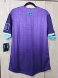 Jersey Diamondbacks de Arizona Serpientes City Connect 2025