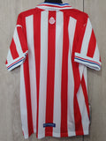 Jersey Chivas 110 aniversario temporada 16-17 retro aficionado