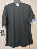 Jersey Orioles de Baltimore City Connect