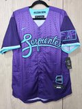 Jersey Diamondbacks de Arizona Serpientes City Connect 2025
