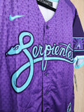 Jersey Diamondbacks de Arizona Serpientes City Connect 2025