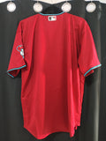 Jersey Diamondbacks de Arizona Guinda