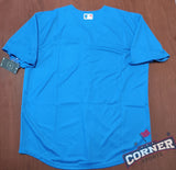 Jersey Cachorros de Chicago Azul Cubs
