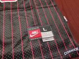 X Jersey Toros de Chicago Bulls Negro Rayado Jordan