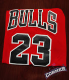 X Jersey Toros de Chicago Bulls Roja Jordan
