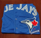 Jersey Azulejos de Toronto Azul Kirk #30 Blue Jays